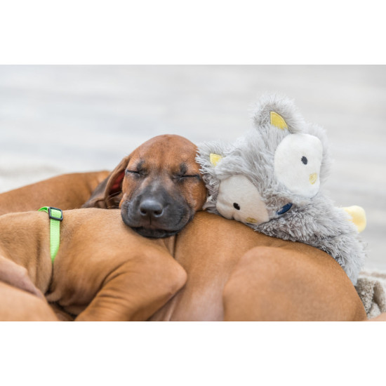 Trixie Junior Animăluț din pluș, jucărie foșnitoare câini, 33 cm